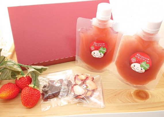 冷凍苺いちご　10kg(500g×20袋）佐賀県産　スムージージャムジュレ